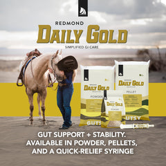 Daily Gold formulation naturelle, pour chevaux et routine alimentaire facile.