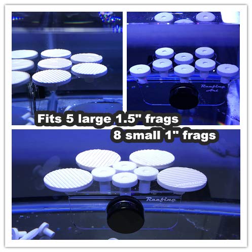Support frag Reefing Art: organisation nette pour frag jusqu'à 1,5 pouce.