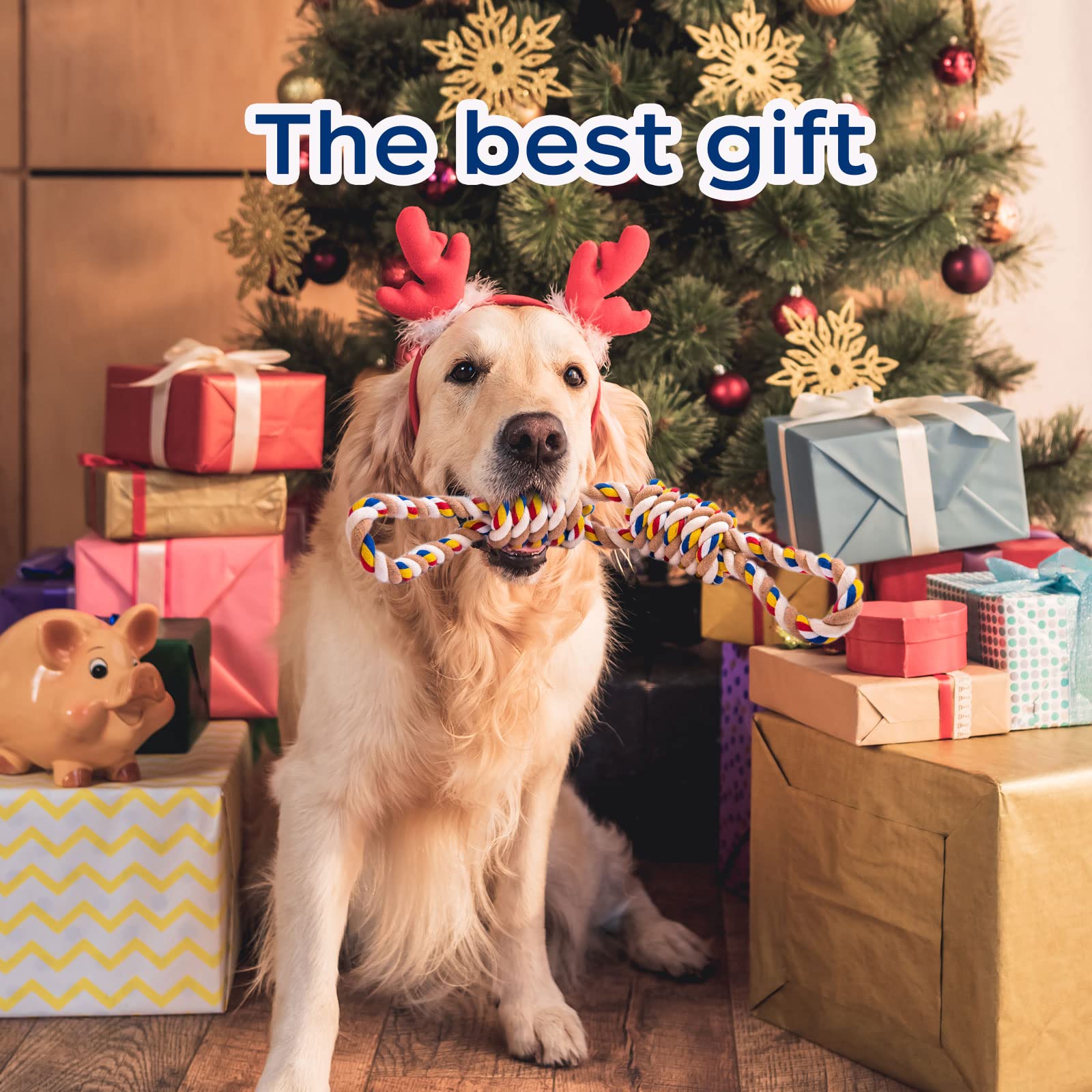Corde-jouet REFEVENO, cadeau idéal pour chien, durable et divertissant.