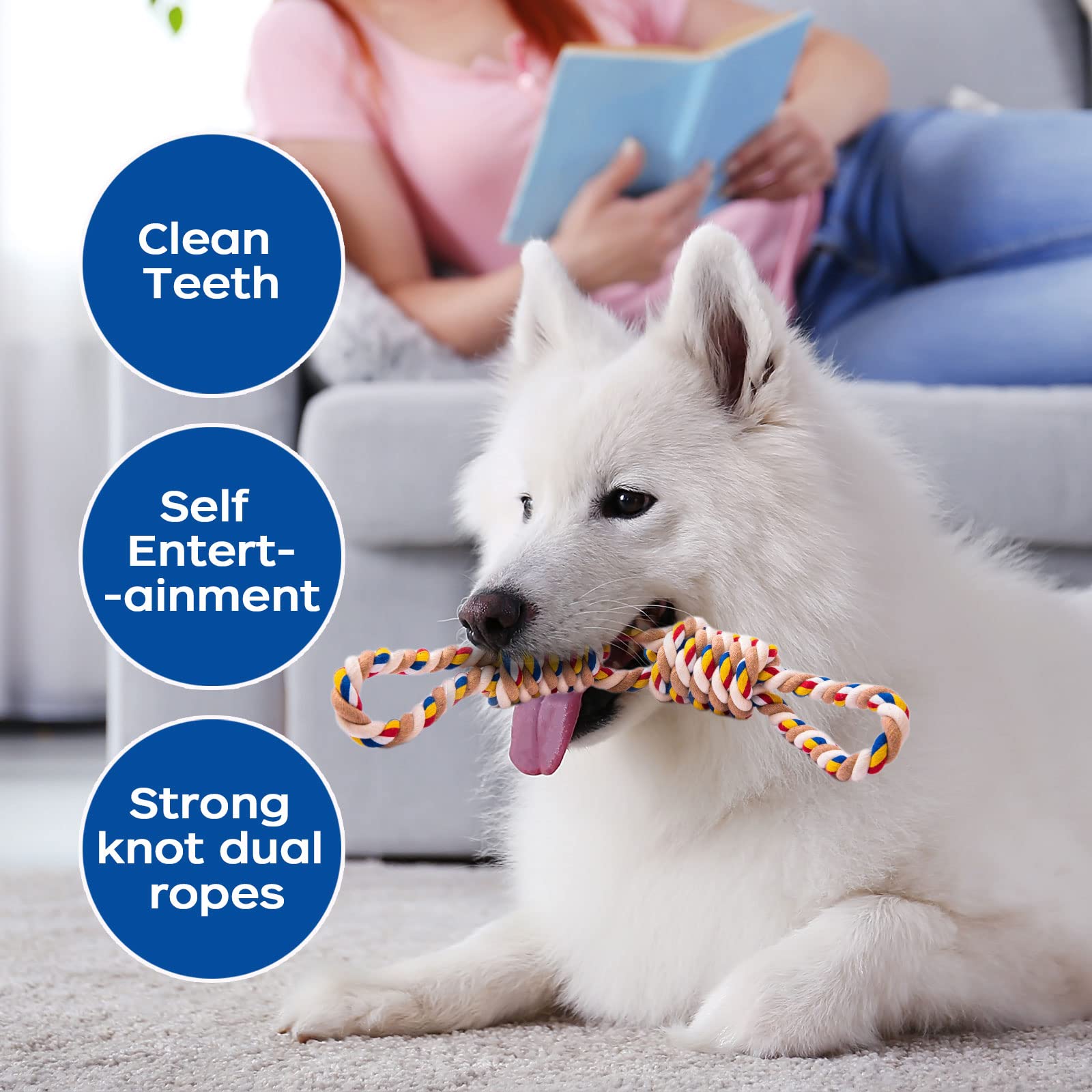 Matériau durable et sûr REFEVENO, corde résistante pour chiens agressifs.