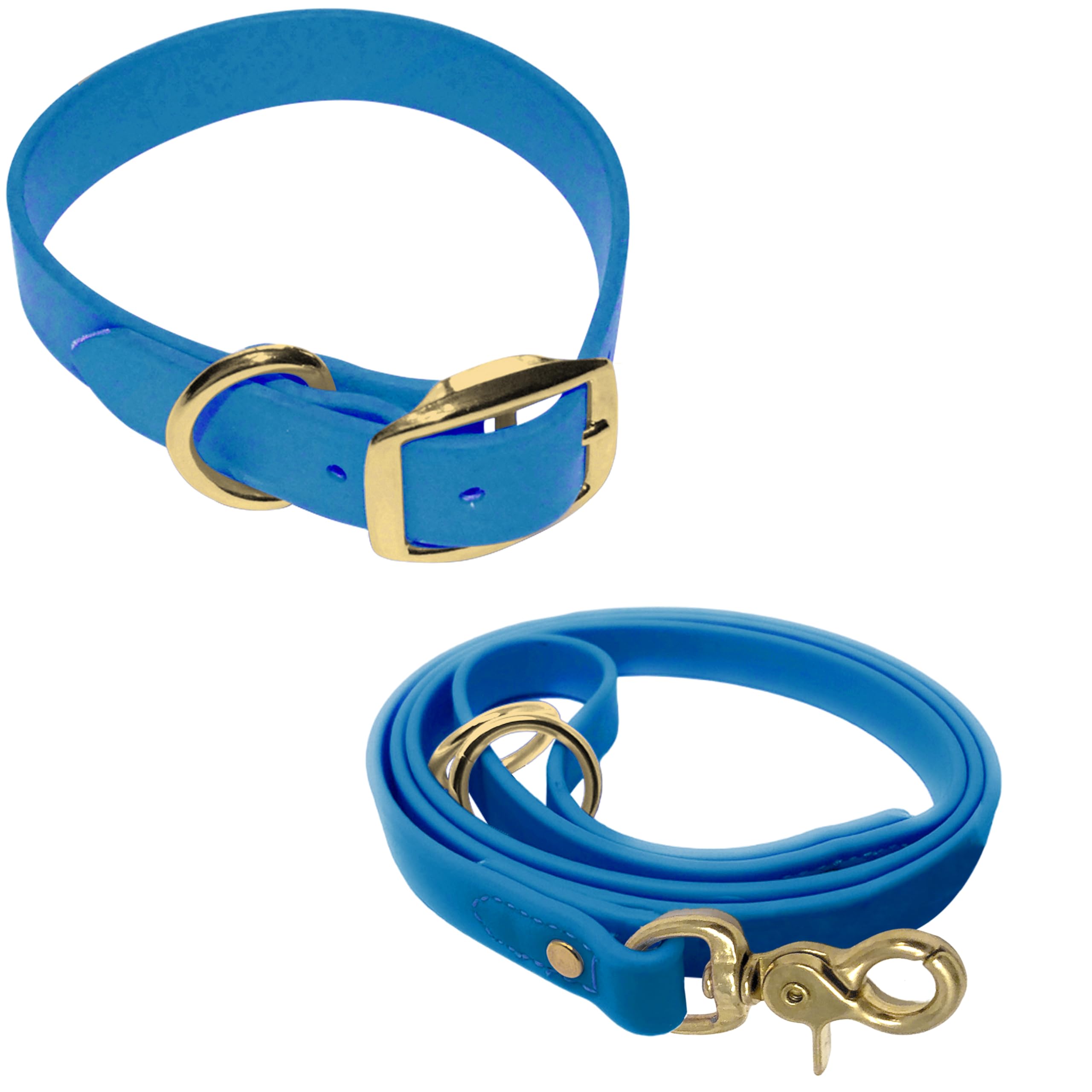 Collier Regal Dog Products imperméable bleu petit pour chien actif.