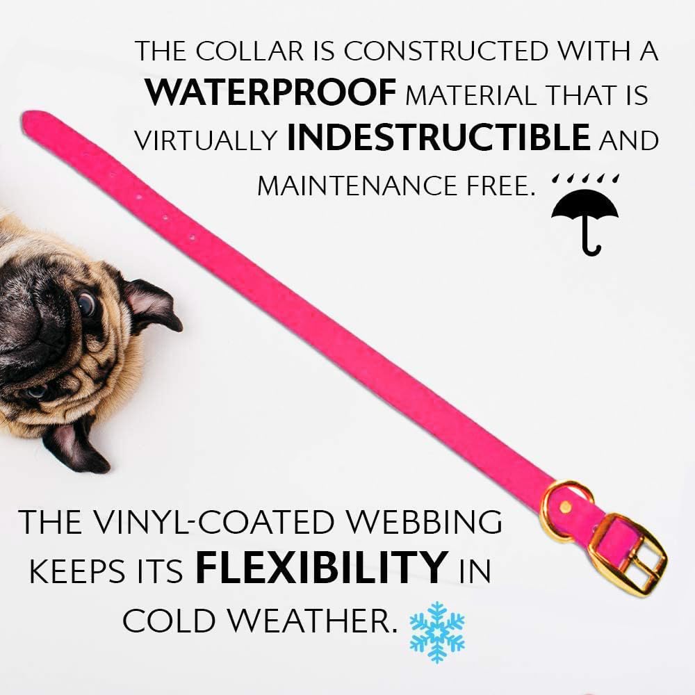Collier rose sans entretien Regal Dog Products, style chic avec peu de9nergie de9ploye9e.