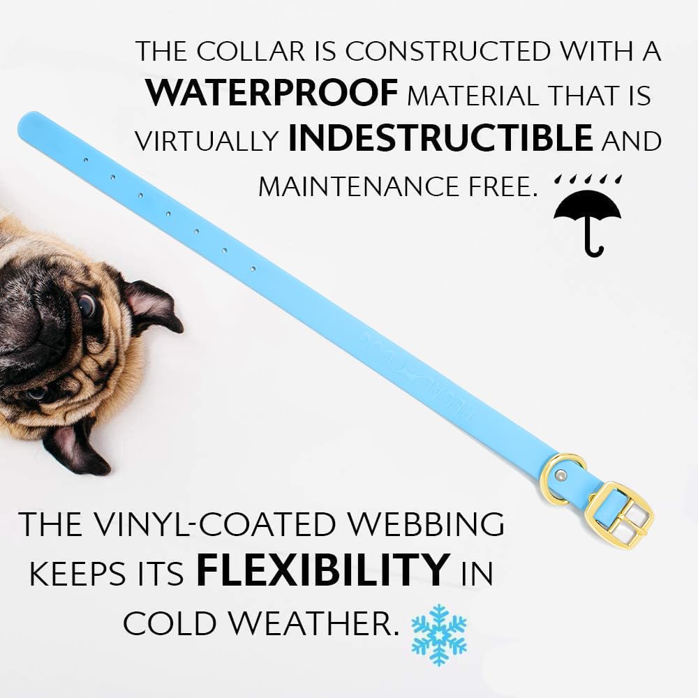 Fabrication aux États‑Unis par Regal Dog Products, qualité assurée.
