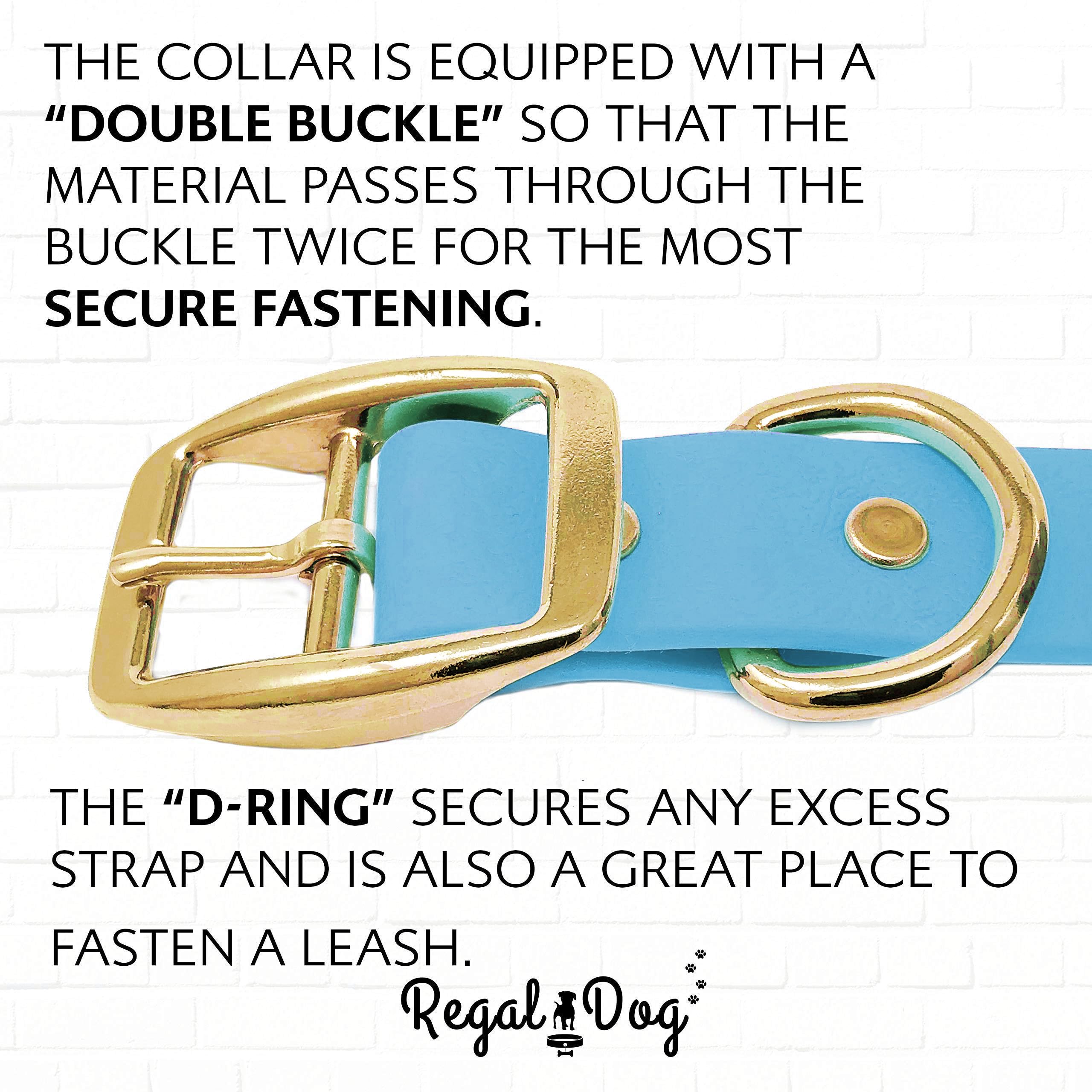 Ensemble imperméable parfait pour plage et extérieur avec Regal Dog.