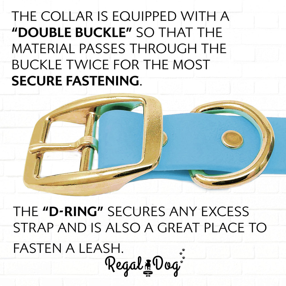 Ensemble imperméable parfait pour plage et extérieur avec Regal Dog.