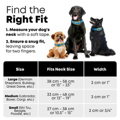 Laisse Regal Dog Products de 5 pieds avec boucle dorée, poigne sûre