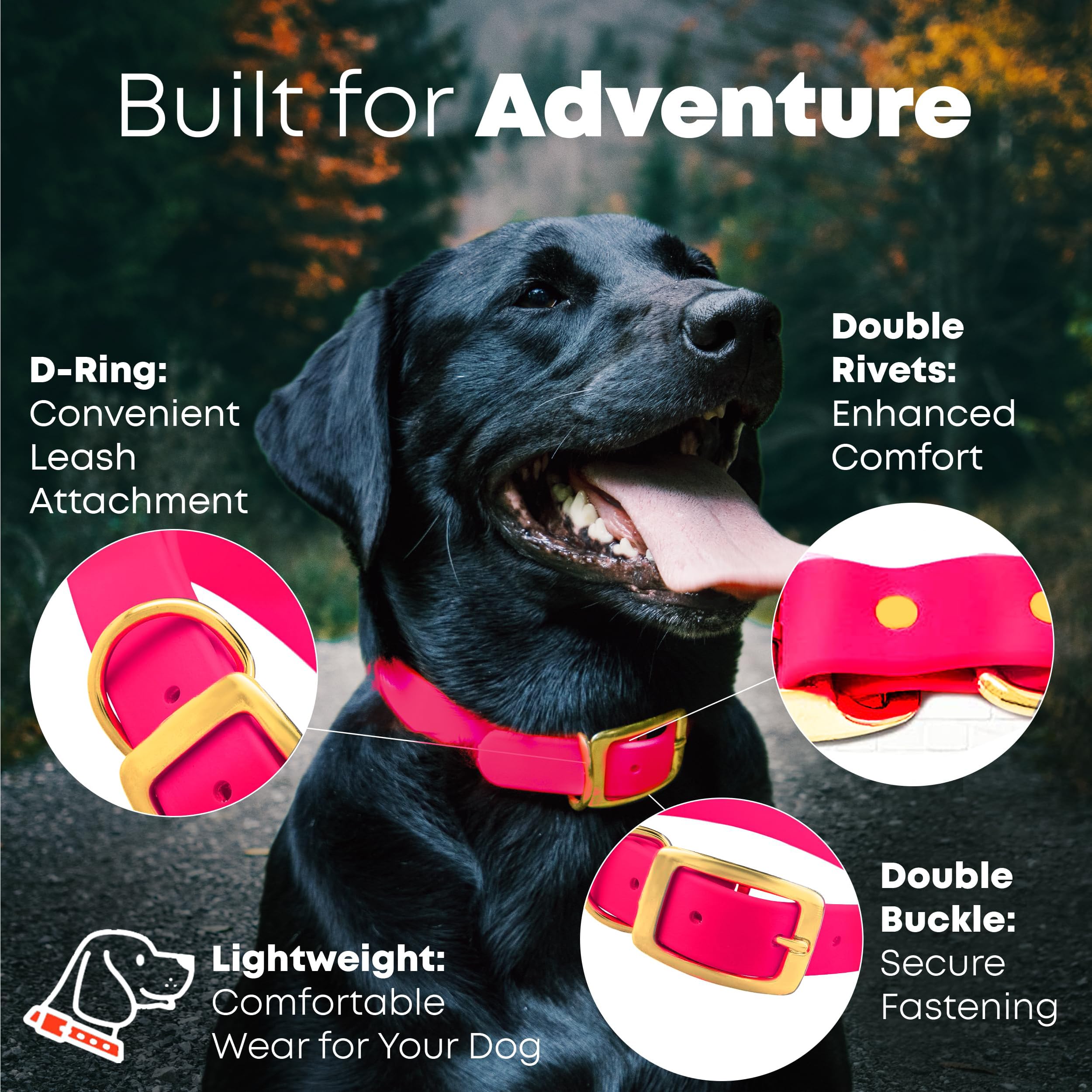Laisse Regal Dog Products, rose, 5-pieds, idéale pour promenades controlees.