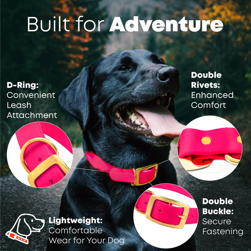 Laisse Regal Dog Products, rose, 5-pieds, idéale pour promenades controlees.