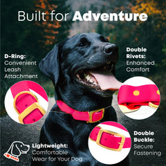 Laisse Regal Dog Products, rose, 5-pieds, idéale pour promenades controlees.