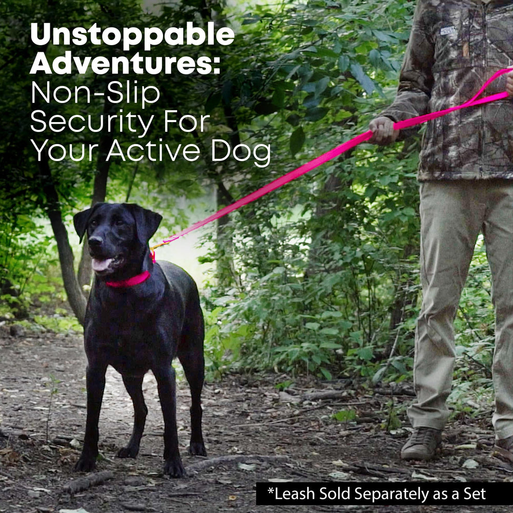 Mate9riau imperme9able synthe9tique Regal Dog Products, facile e0 nettoyer.