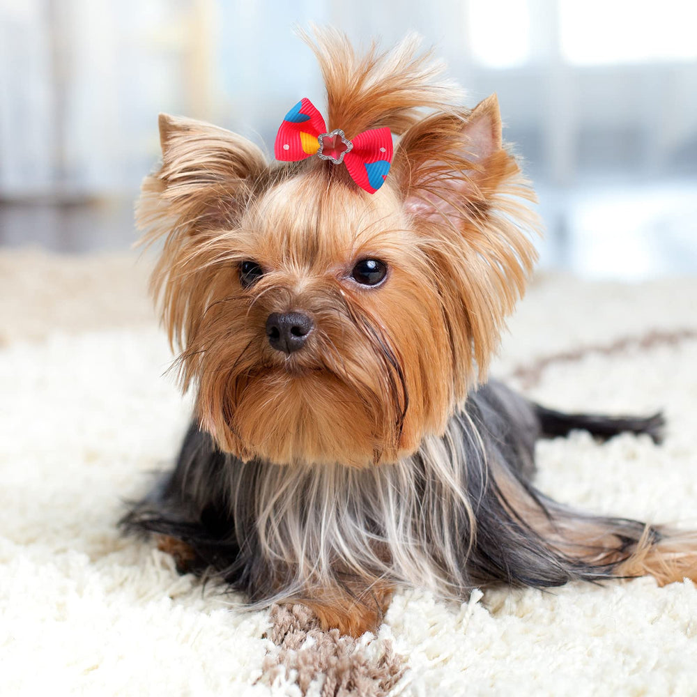 Cadeau Reginary parfait pour amoureux des chiens et des chats.