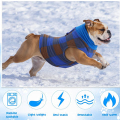 Gilet Reginary pour chien avec anneau d'attache au dos, pratique pour les promenades.