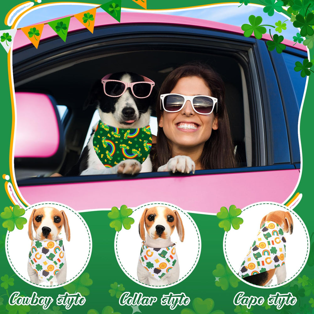 Pack Reginary 108 pièces Saint-Patrick pour chien, solution tout-en-un.