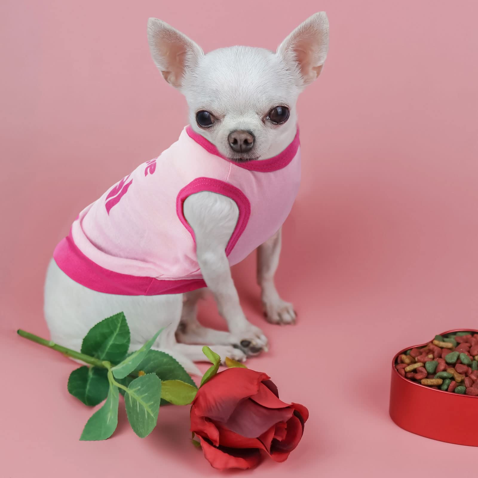 Reginary pull-chien texte mignons imprimé, motifs ludiques pour chien.