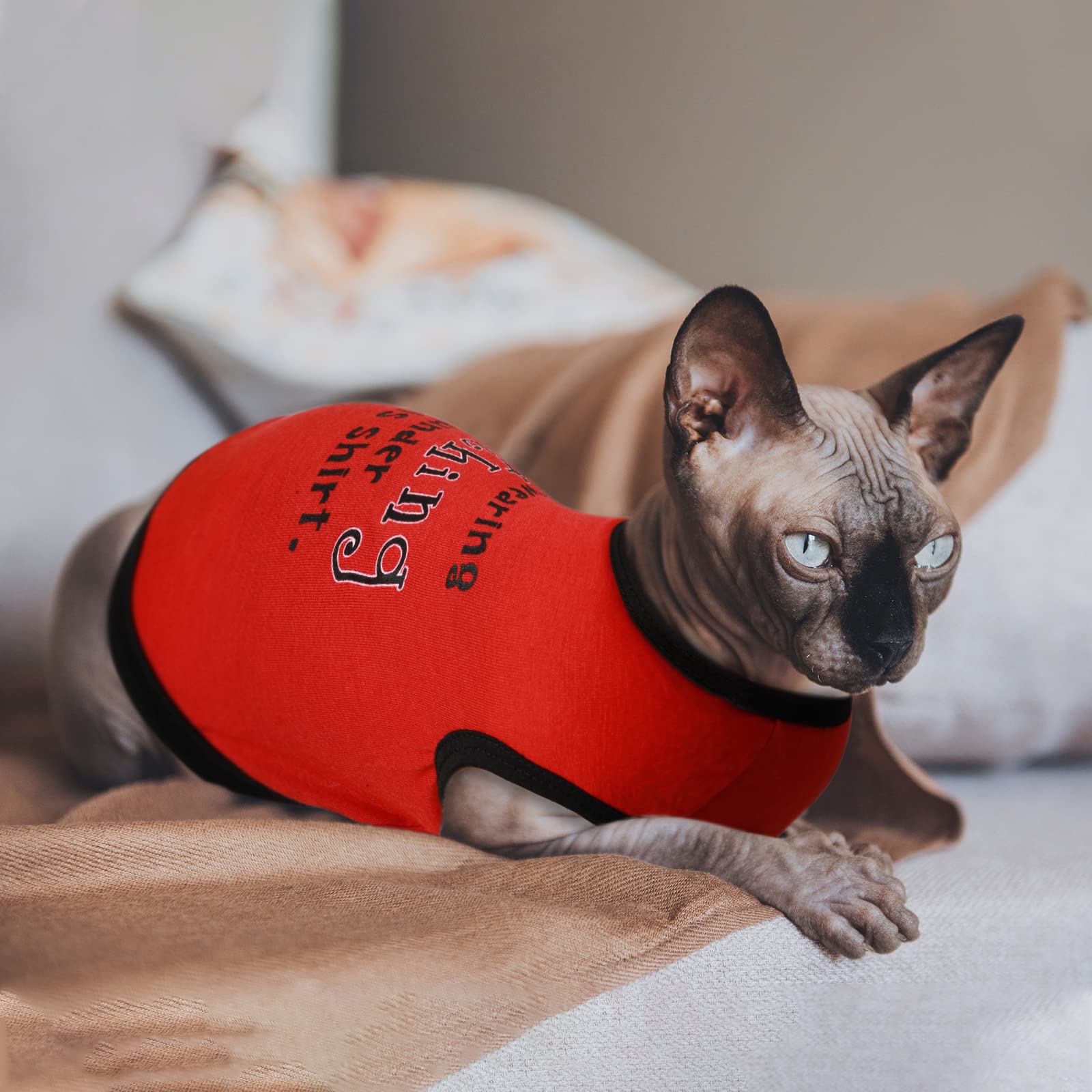 Reginary tenue chien pour fêtes et occasions spéciales.