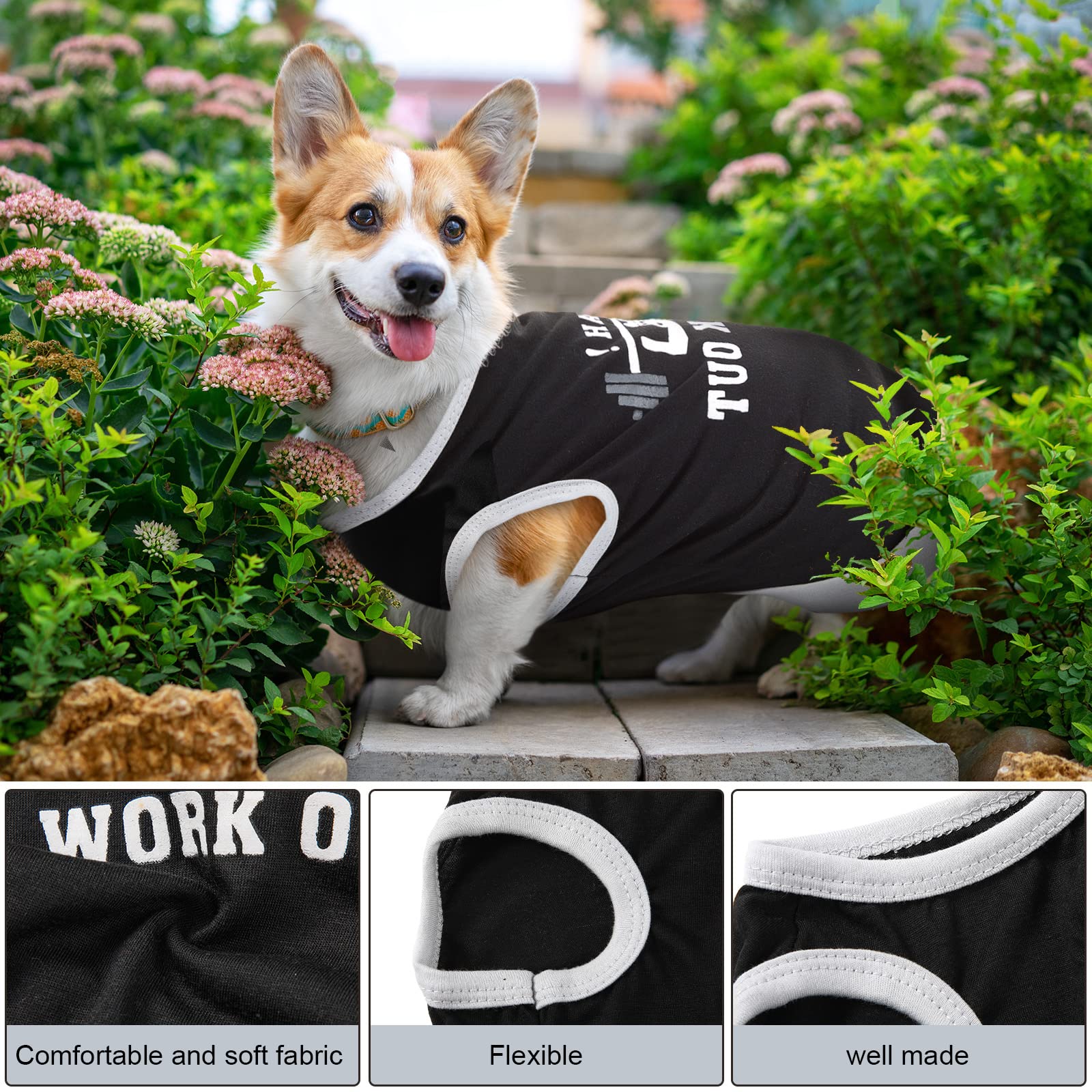 Reginary vetement chien motifs lettres couleurs vives pour style amusant.
