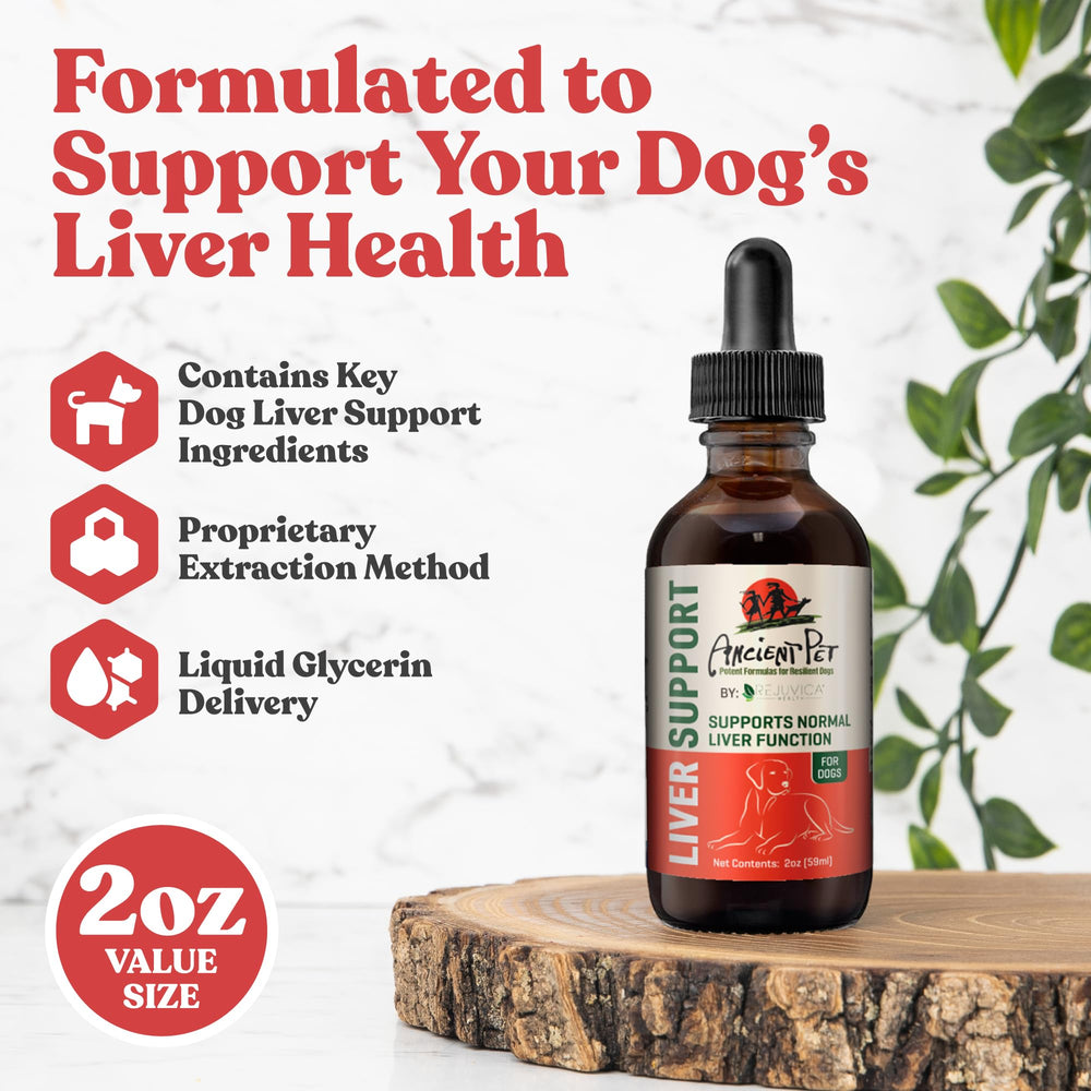 Goutte Rejuvica Health – dosage facile sur la langue du chien