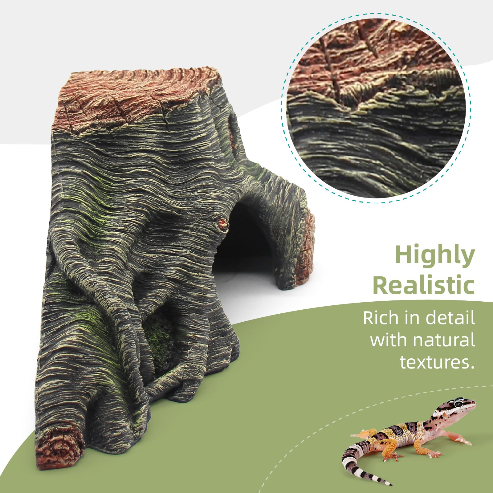 relaqcc cachette naturelle terrarium espace privé et sûr