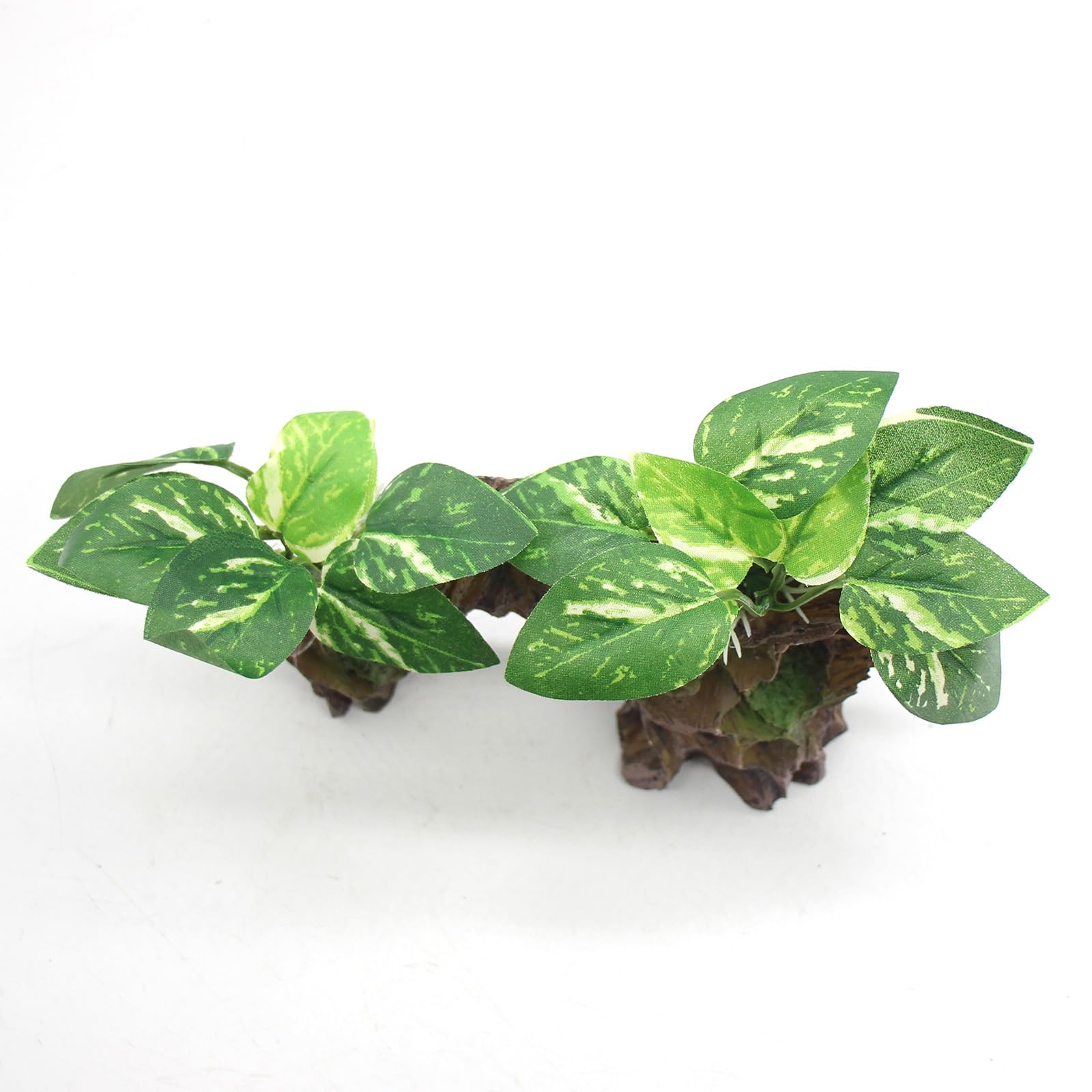 relaqcc deco-aquarium-terrarium: usage polyvalent pour aquariums et terrariums.