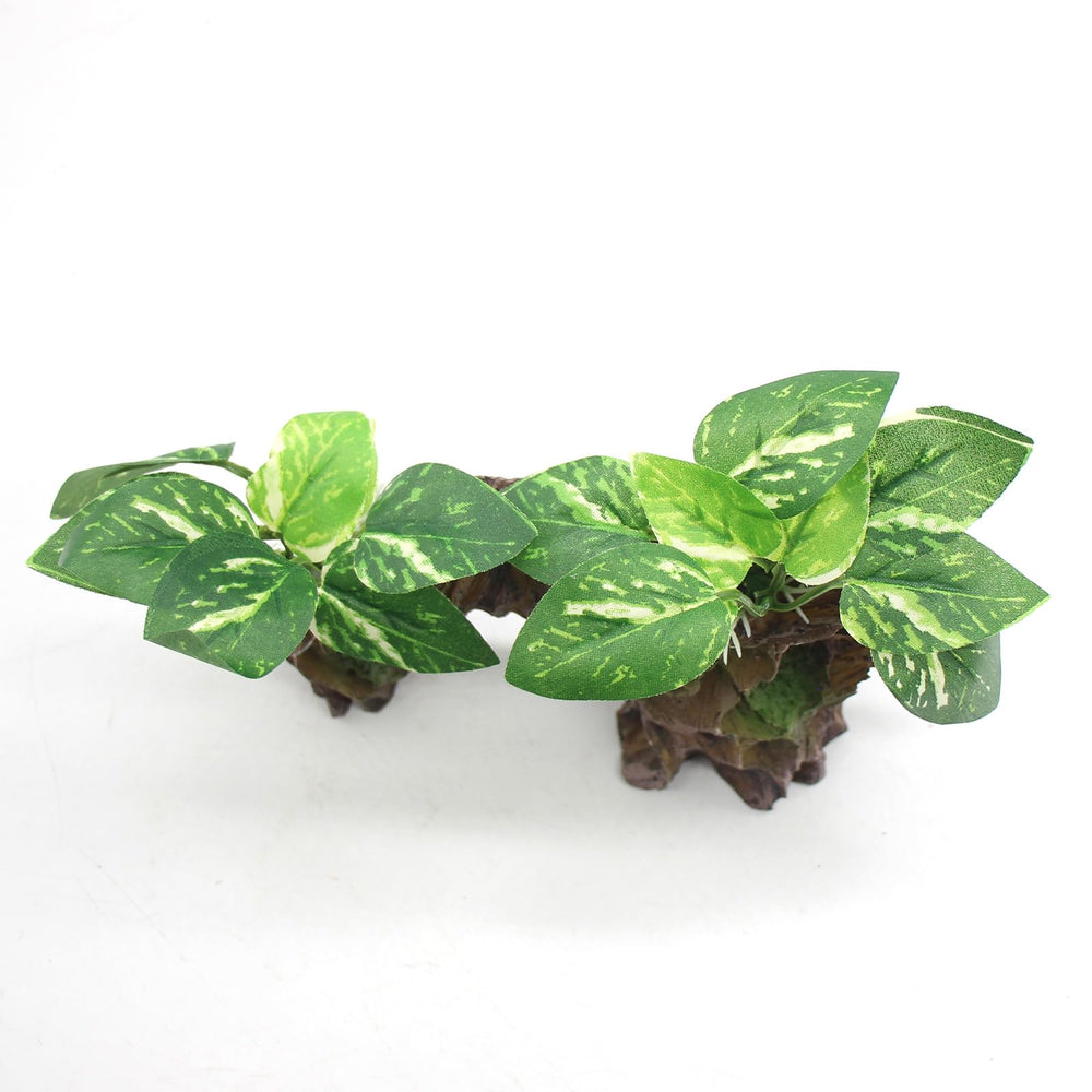 relaqcc deco-aquarium-terrarium: usage polyvalent pour aquariums et terrariums.