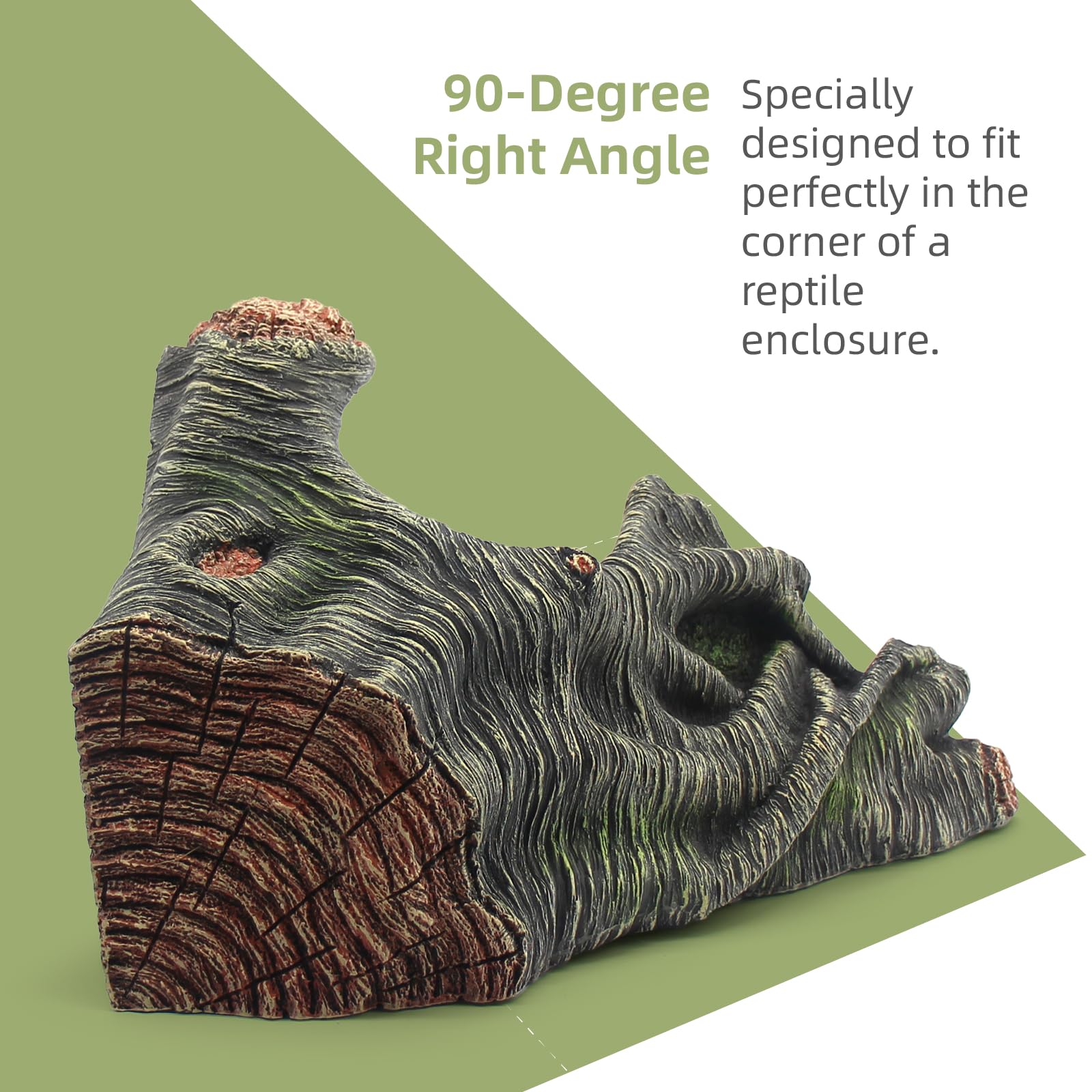 relaqcc décoration arbre terrarium décor intégré et naturel