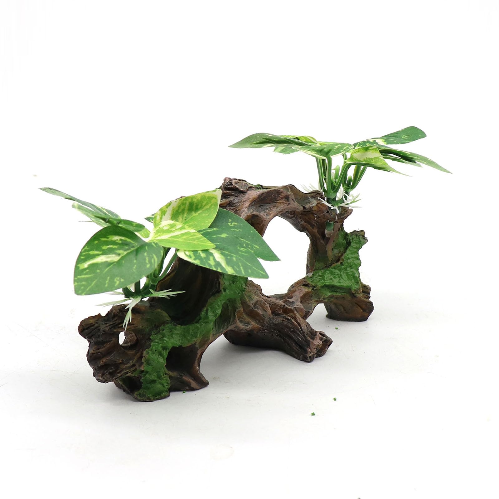 relaqcc dimension 6,3 x 2,8 x 3,9 pouces, parfait pour petits aquariums