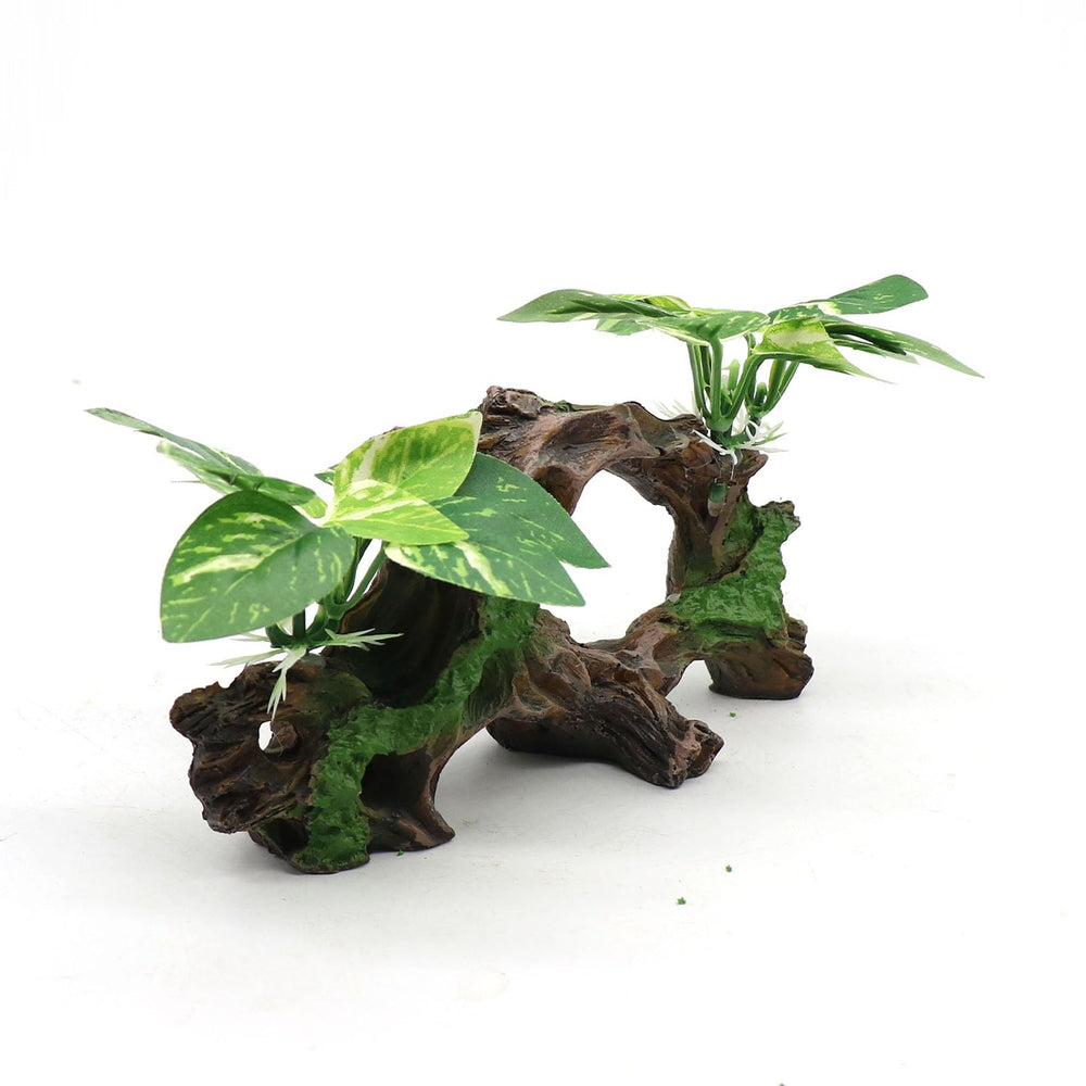 relaqcc dimension 6,3 x 2,8 x 3,9 pouces, parfait pour petits aquariums