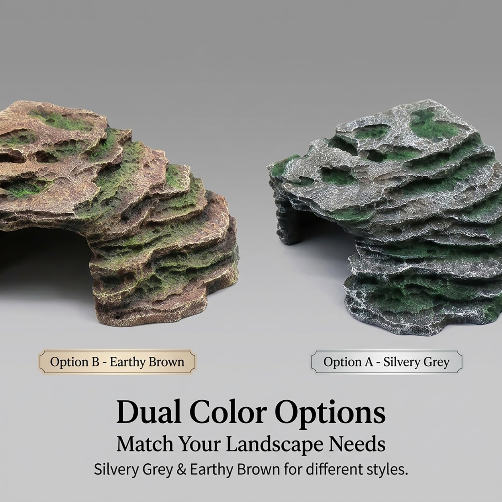 relaqcc-formation-roche-naturelle – décor réaliste favorisant le confort et l'exploration du reptile.