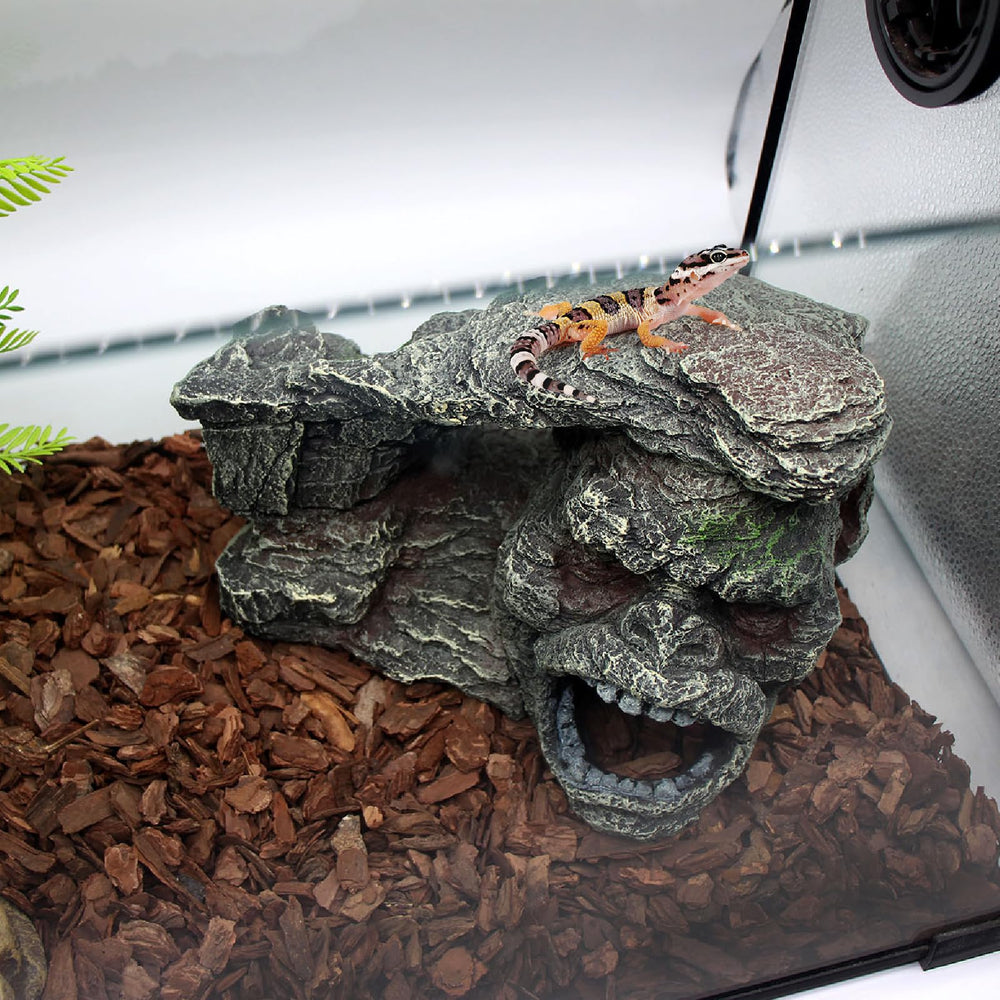relaqcc Gecko decoration-terarium: esthétique naturelle et camouflage