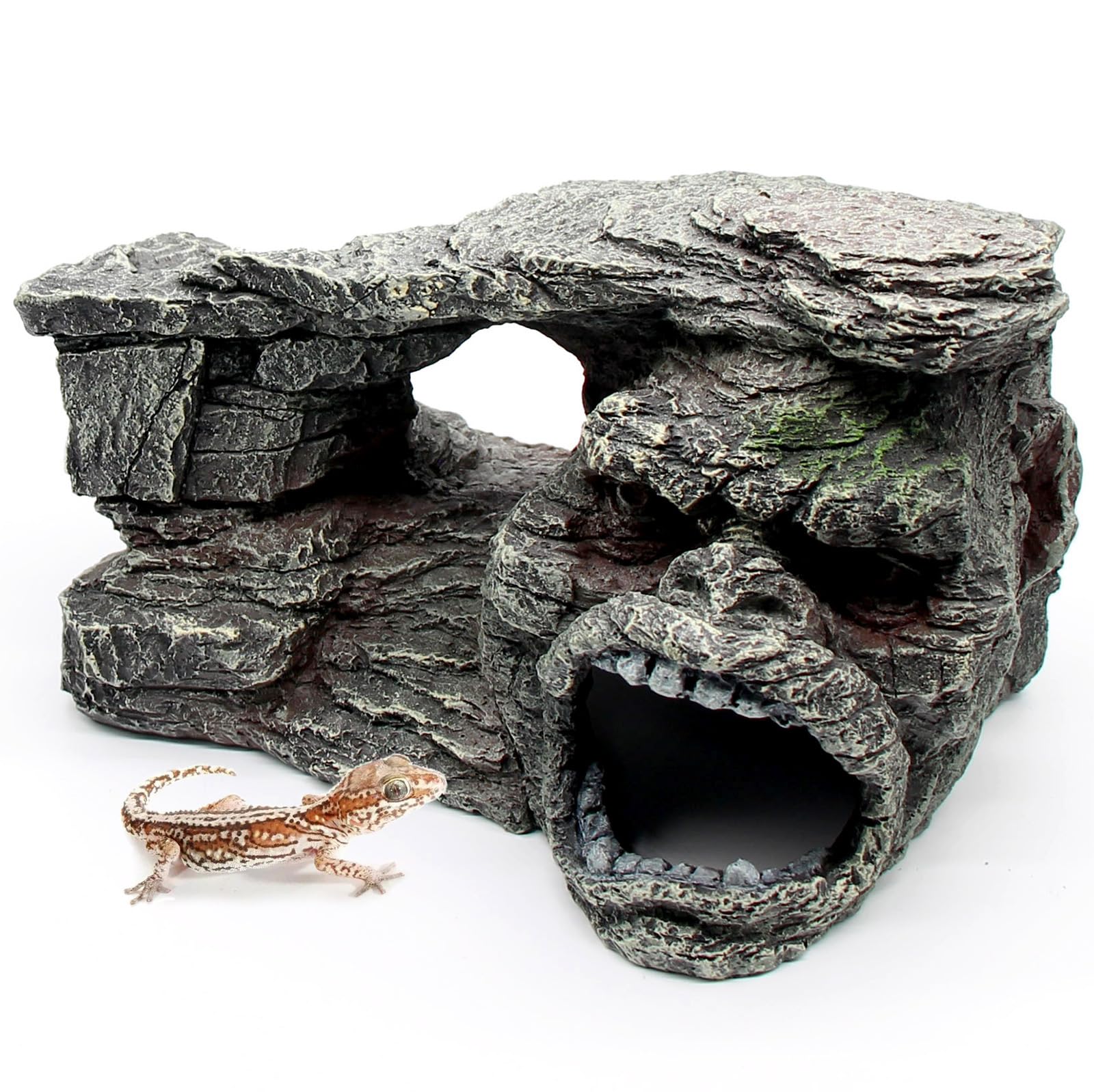 relaqcc Gecko formation roche: décor réaliste pour terrarium et refuge sûr