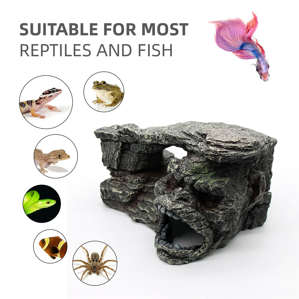 relaqcc Gecko rampe-entree: chemin pour grimper et explorer