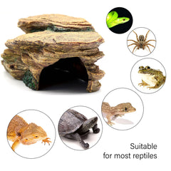 Relaqcc Matériau résine naturel, décor durable et sûr pour terrarium.