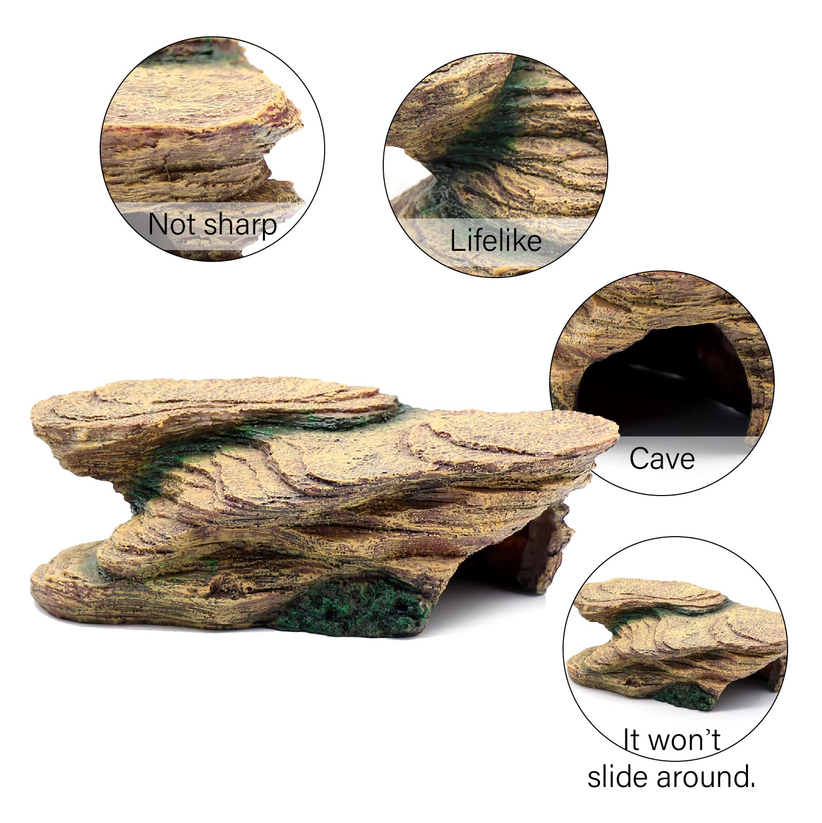 Relaqcc Plateforme baignade reptiles, espace naturel pour se détendre.