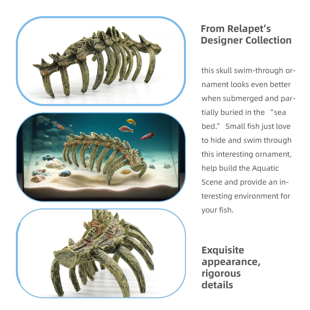 relaqcc Petit poisson, élément décoratif attirant l’attention dans l’aquarium.