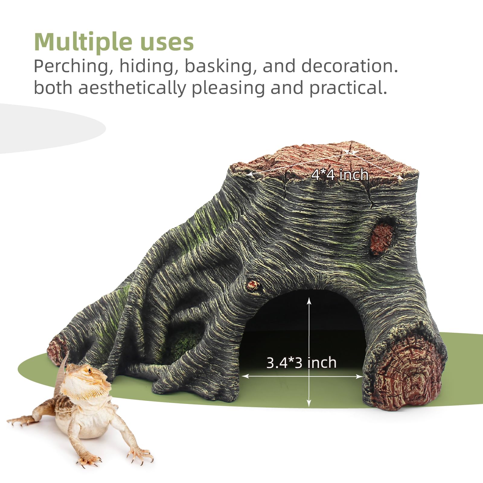 relaqcc rampe escalade reptile trajet sûr pour grimper et explorer