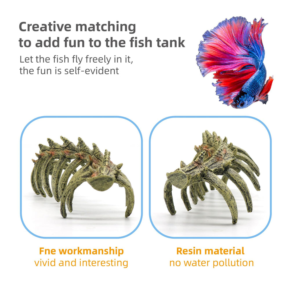 relaqcc Design terrarium, décor unique et polyvalent pour habitat.