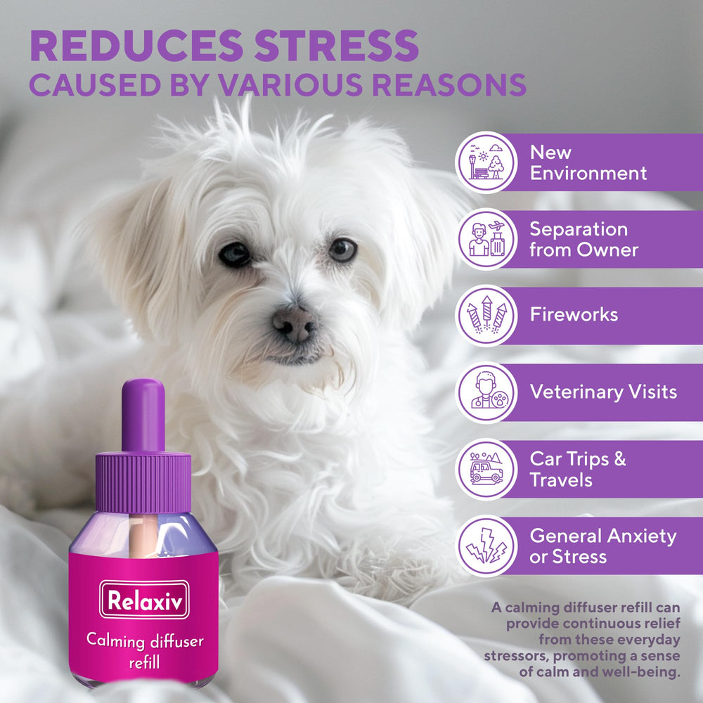 Kit Relaxivet avec recharge diffuseur pour un calme durable