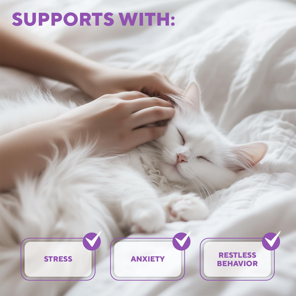 Relaxivet usage-stress-cat-en-voyage aide à détendre le chat pendant le voyage