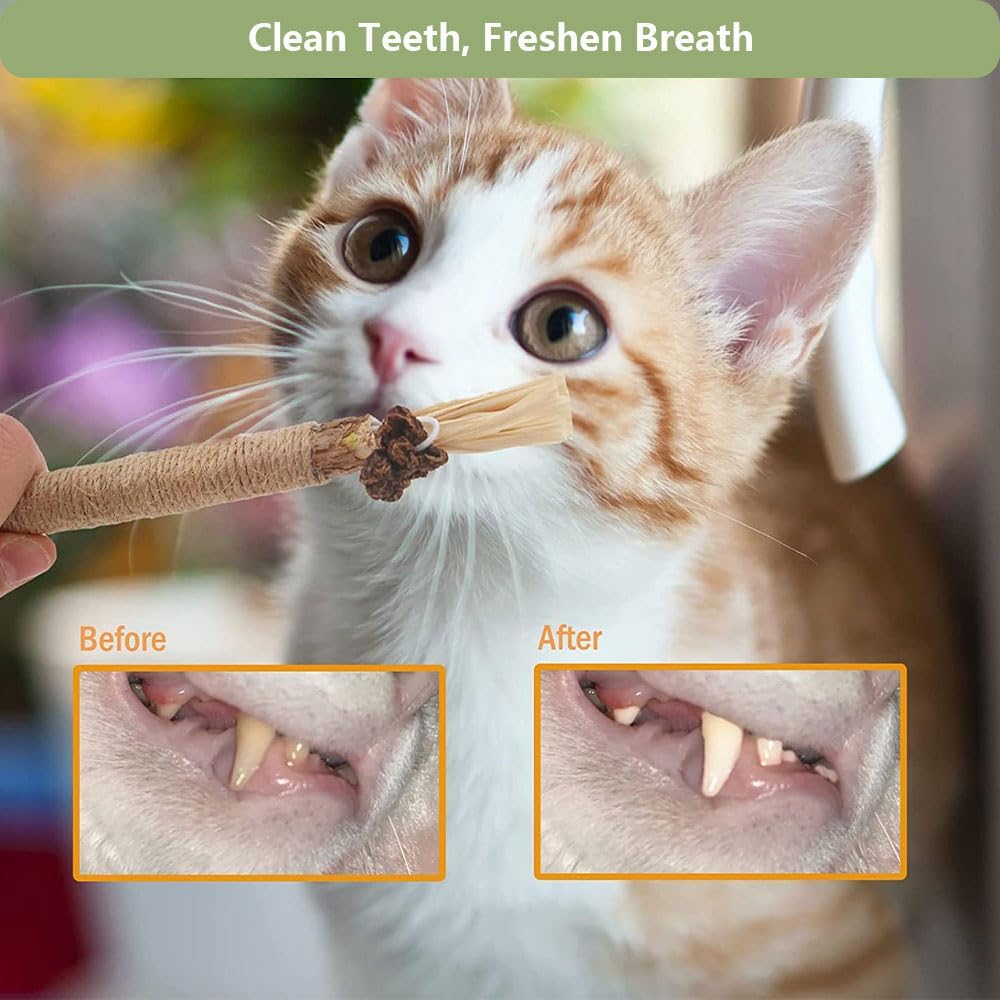 RELONGGI bâtons silvervine chat stimulation 2 simplicité et plaisir pour chats actifs.