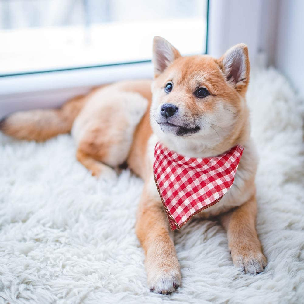 Remifa bandana chien plaid durable pour extérieur et photos
