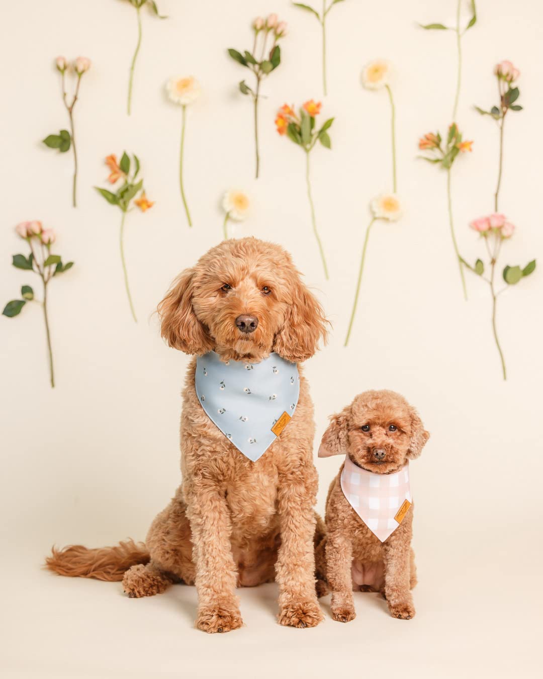 Bandana ajustable Remy+Roo Emily pour chien, maintien confortable et ajustement précis.