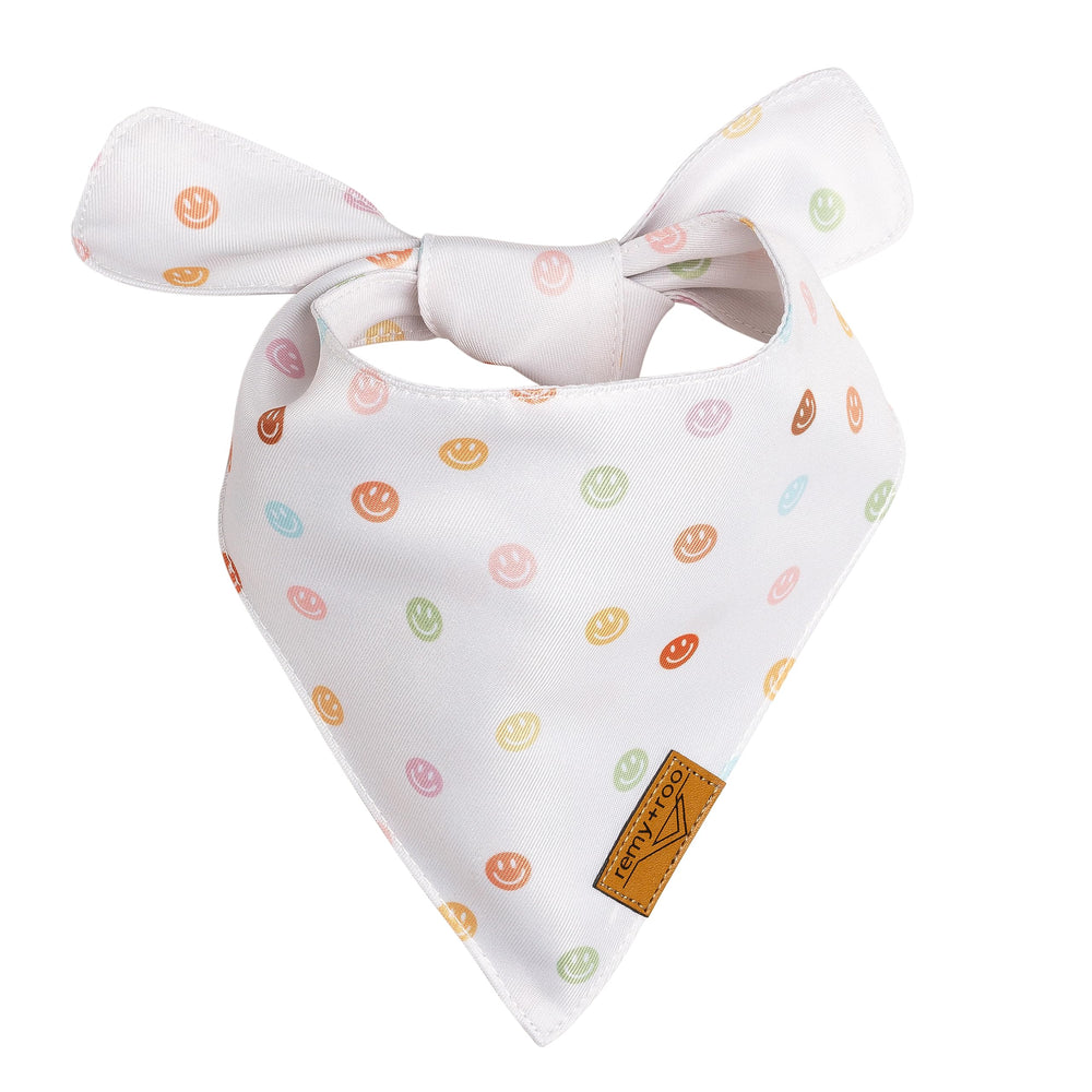 Remy+Roo bandanas daisy idéal pour anniversaires canins et occasions.