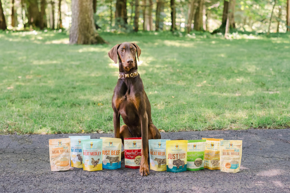 Remy’s Kitchen Meat Medley – collection variée, options savoureuses pour chiens gourmands.