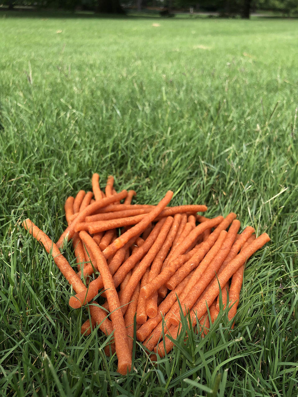 Sans cuir, Twiggly offre une friandise légère et sûre.
