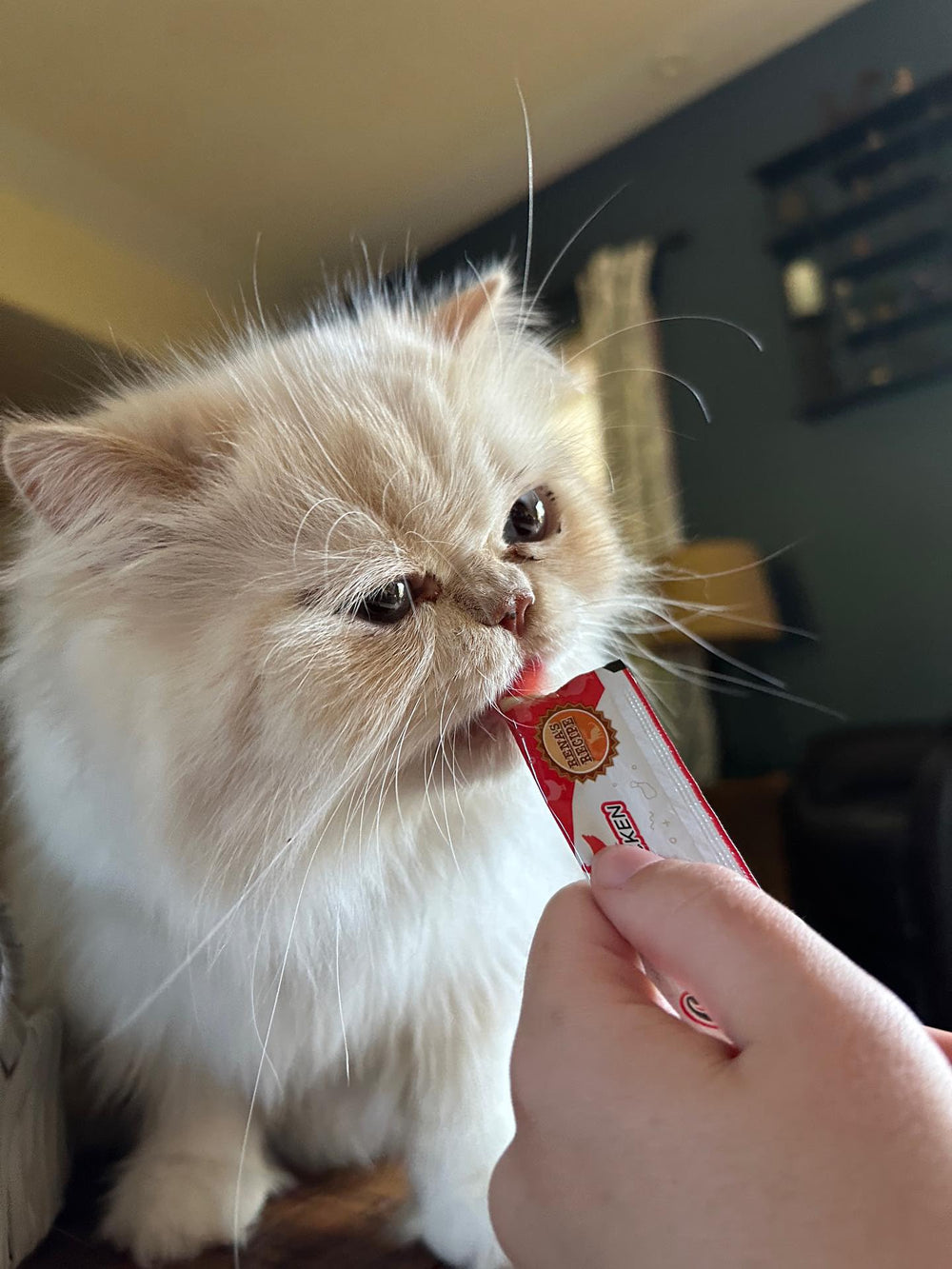 Rena's Recipe Kitty Licks gros plan sur texture crème, appétit du chat très perceptible.