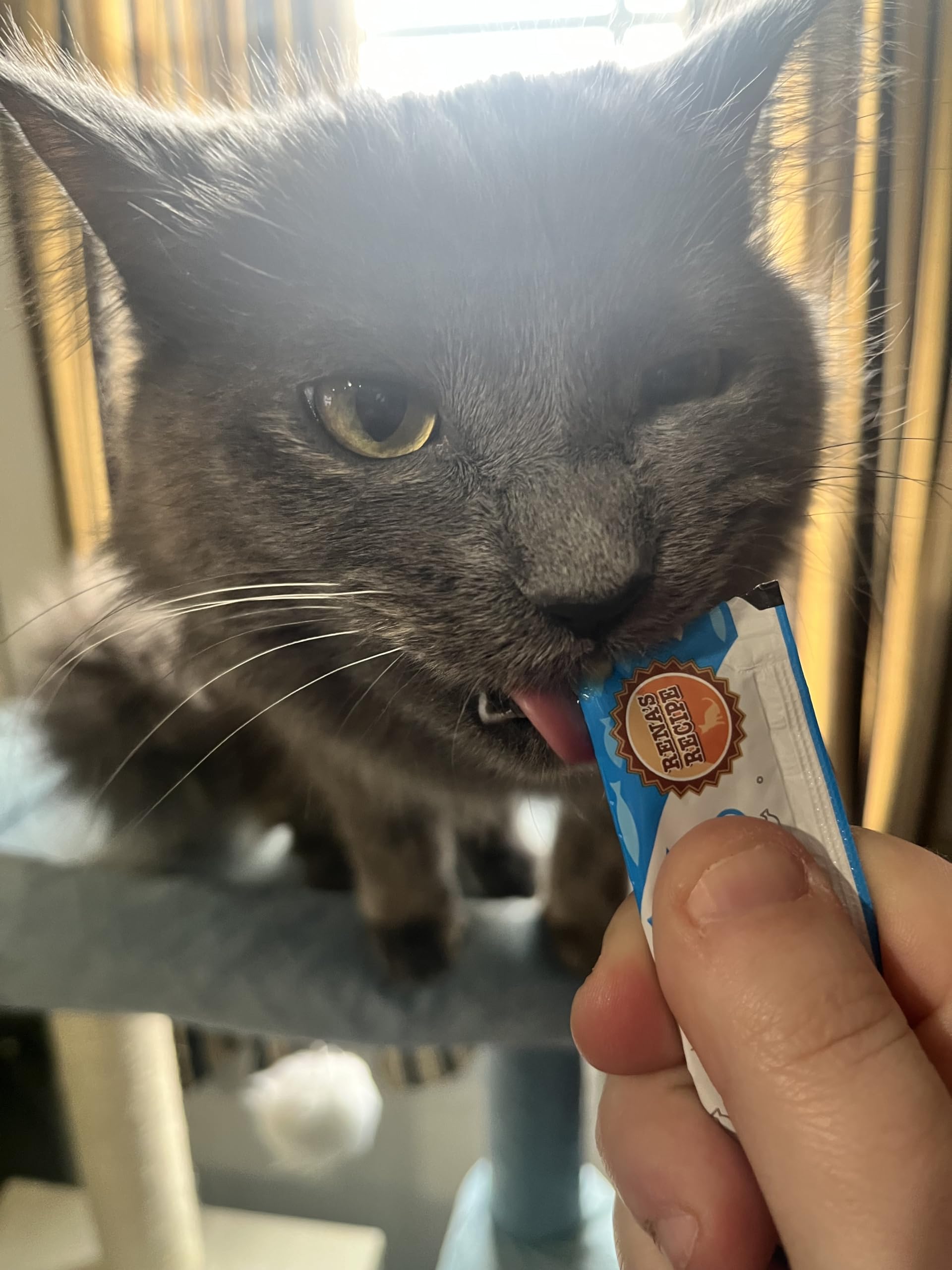 Rena's Recipe Kitty Licks thon saumon tube purée crémeuse.