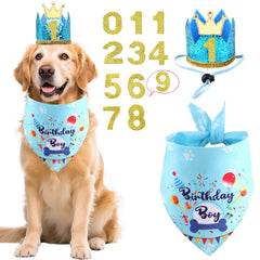 Bandana anniversaire Rensh bleu sur chien, prêt pour photos festives.