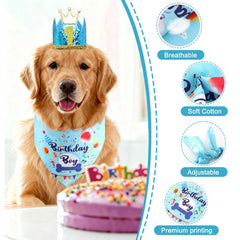 Chapeau anniversaire Rensh bleu pour chien, chiffres imprimés et boucle réglable.