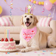 Chapeau d’anniversaire rose de Rensh pour chien, ajustable et sûr.