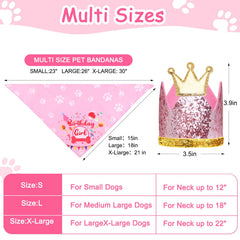 Ensemble anniversaire rose Rensh pour chiens et chats, polyvalent et festif.
